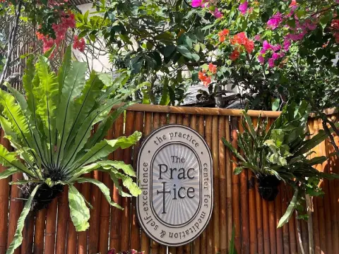 더프랙티스 The Practice