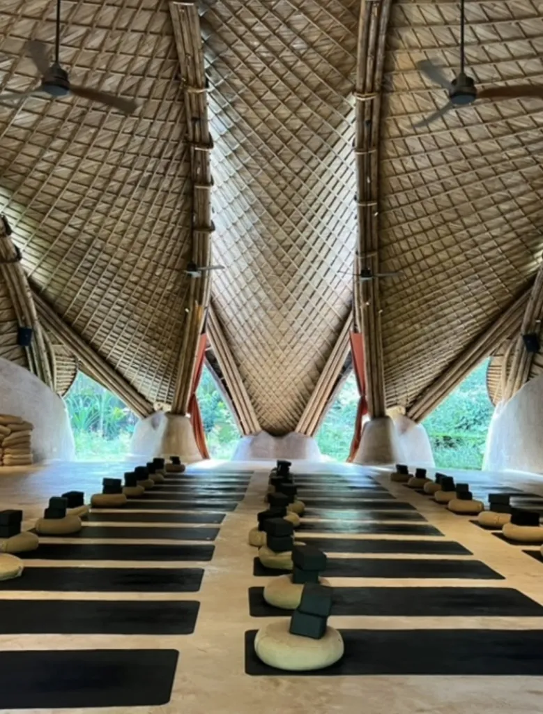 알케미 요가 Alchemy Yoga and Meditation Center 사진 3/4