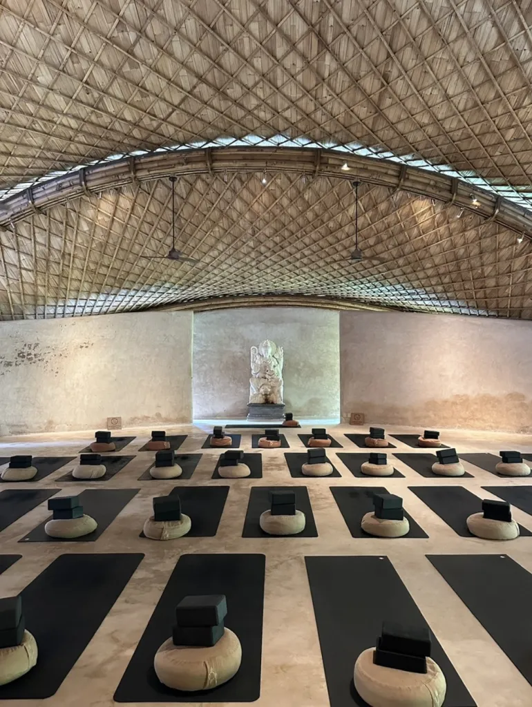 알케미 요가 Alchemy Yoga and Meditation Center 사진 4/4