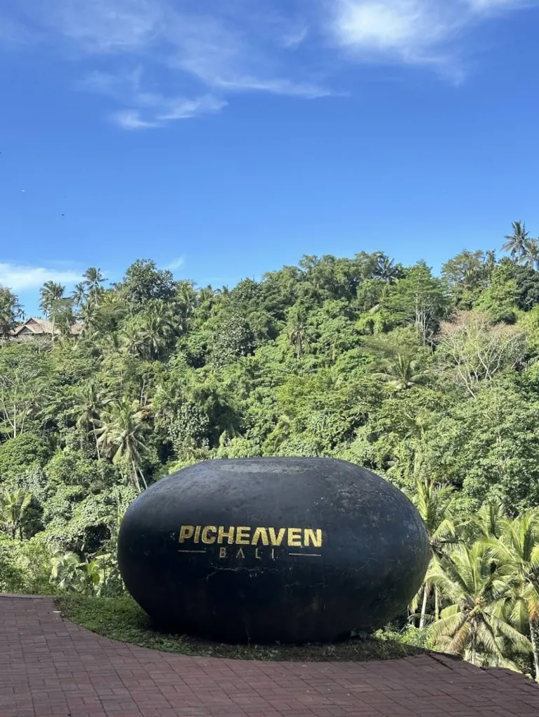 Picheaven Bali - Ayunan 사진 2/5