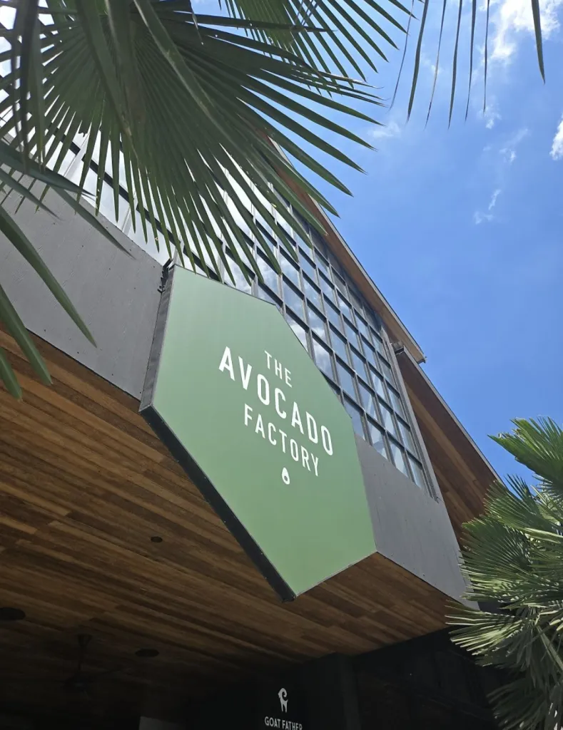 아보카도 팩토리 The Avocado Factory 사진 2/5
