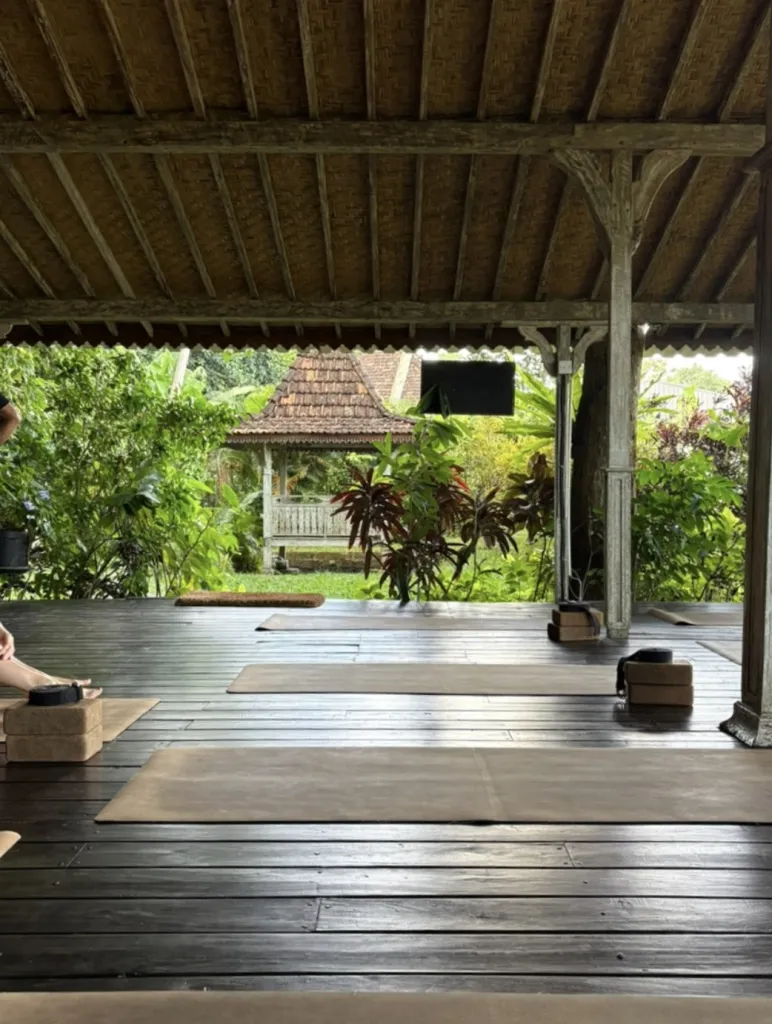 찬드라 요가 Chandra Yoga Bali 사진 3/5