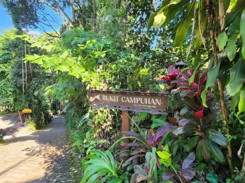 짬뿌한 릿지 워크 Campuhan Ridge Walk
