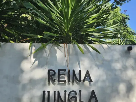 레이나 정글라 Reina Jungla
