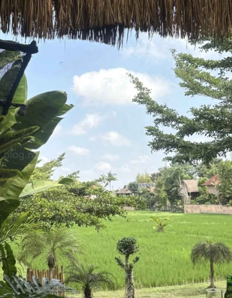Citrus Berry Ubud 사진 2/5