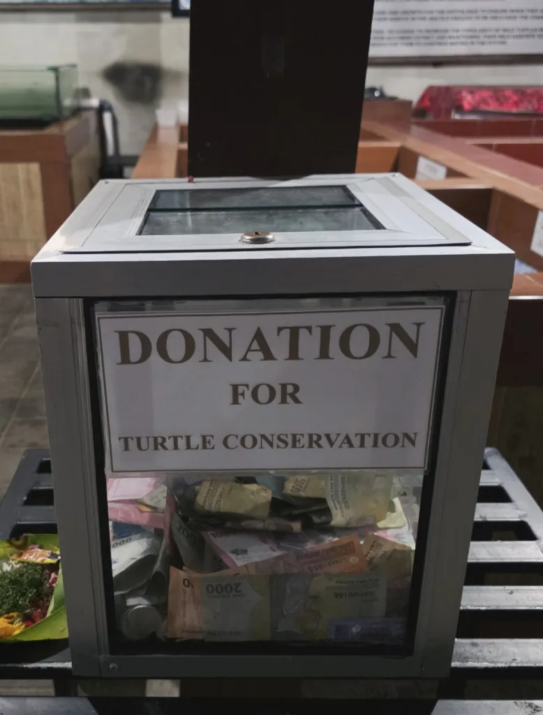 사누르 거북이방생- 신두 드와라와티 터틀센터 Sindu Dwarawati Turtle Conservation Center 사진 5/5