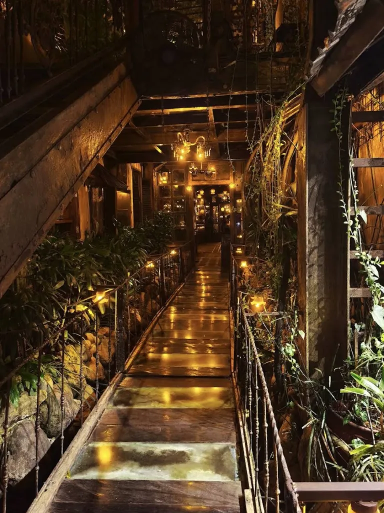 라파벨라 La Favela 사진 5/5