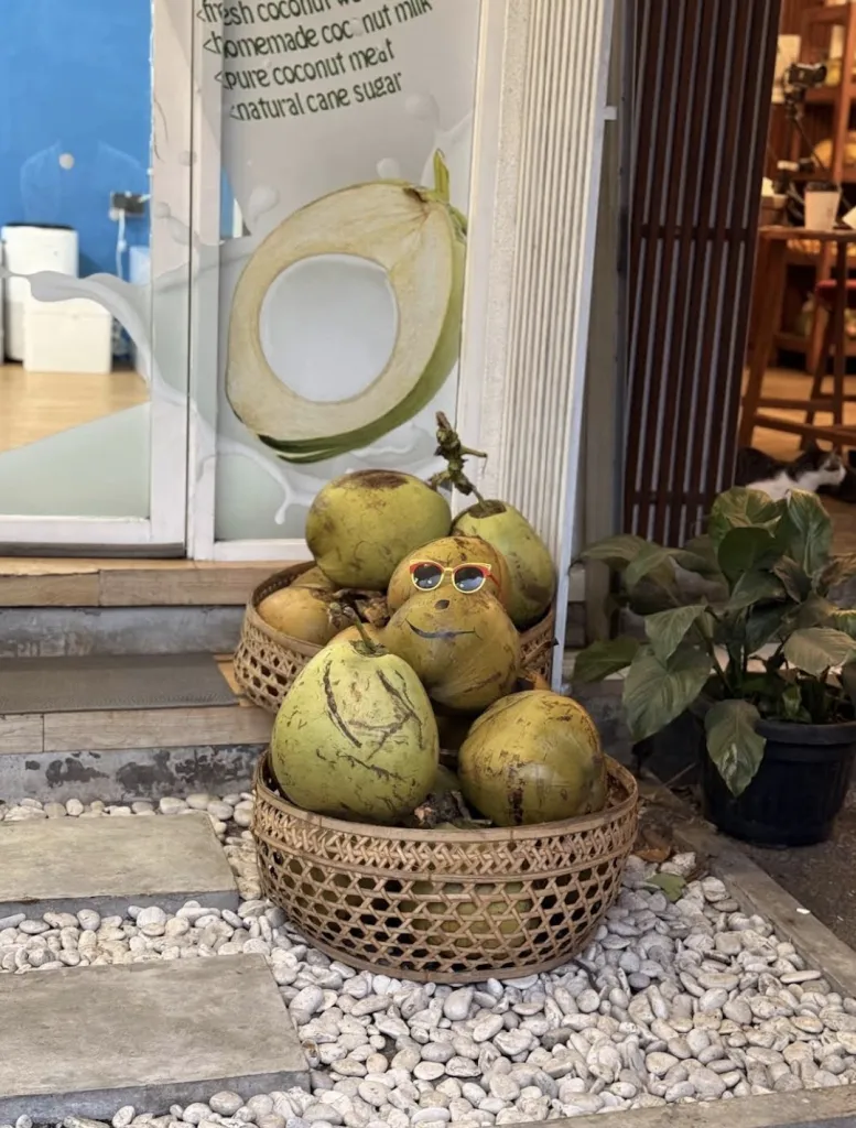 DR. KOKONAT Bali - COCONUT SHAKE 사진 3/5