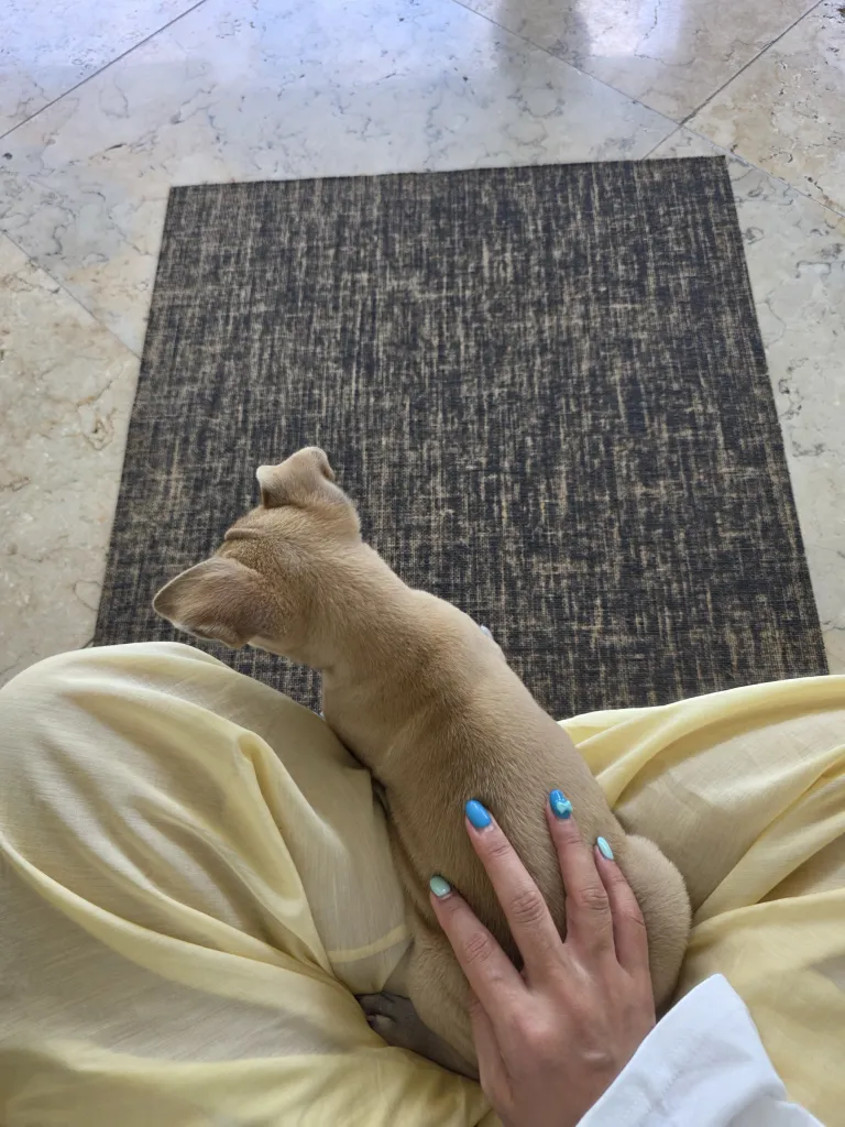 Puppy Yoga Bali 사진 3/5