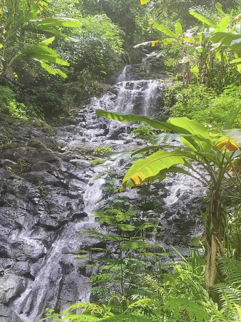 Air Terjun Gembleng 사진 4/5