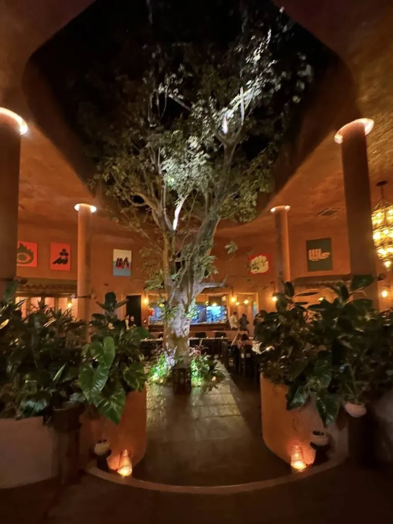 자나 레스토랑 Jannah Restaurant -Seseh 사진 2/5