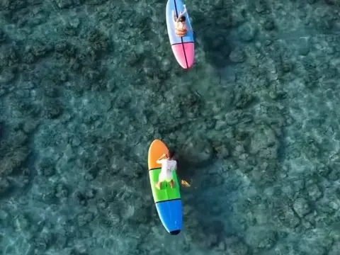 아일랜드 가이드- 선라이즈 패들보드 Island Guide - Sunrise PaddleBoard