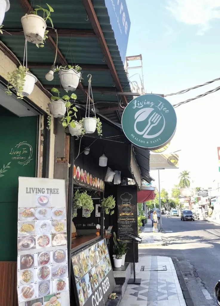 리빙트리 Living Tree Bali Cafe 사진 1/5