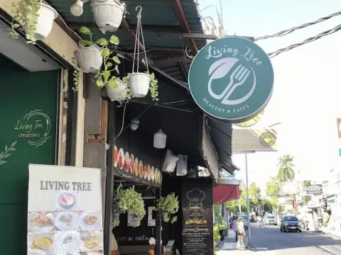 리빙트리 Living Tree Bali Cafe