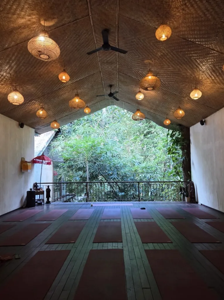 래디언틀리 얼라이브 요가 Radiantly Alive Yoga 사진 1/5