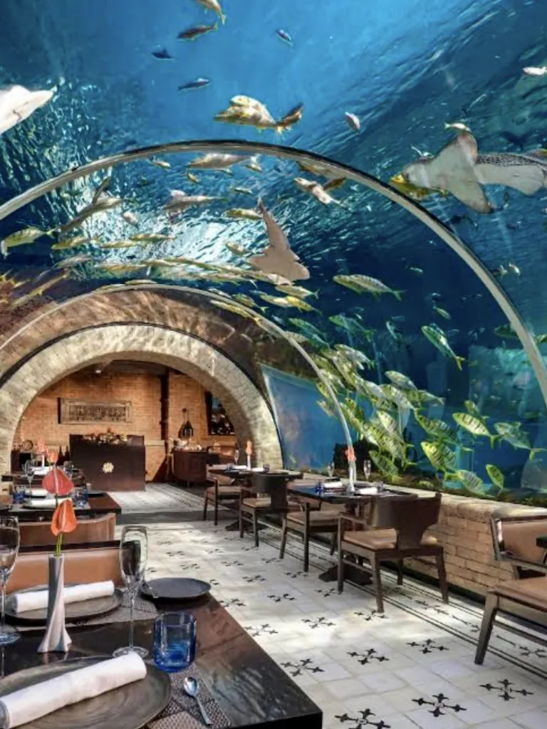Restoran Koral Koral: Restoran Akuarium Pertama di Bali 사진 1/5