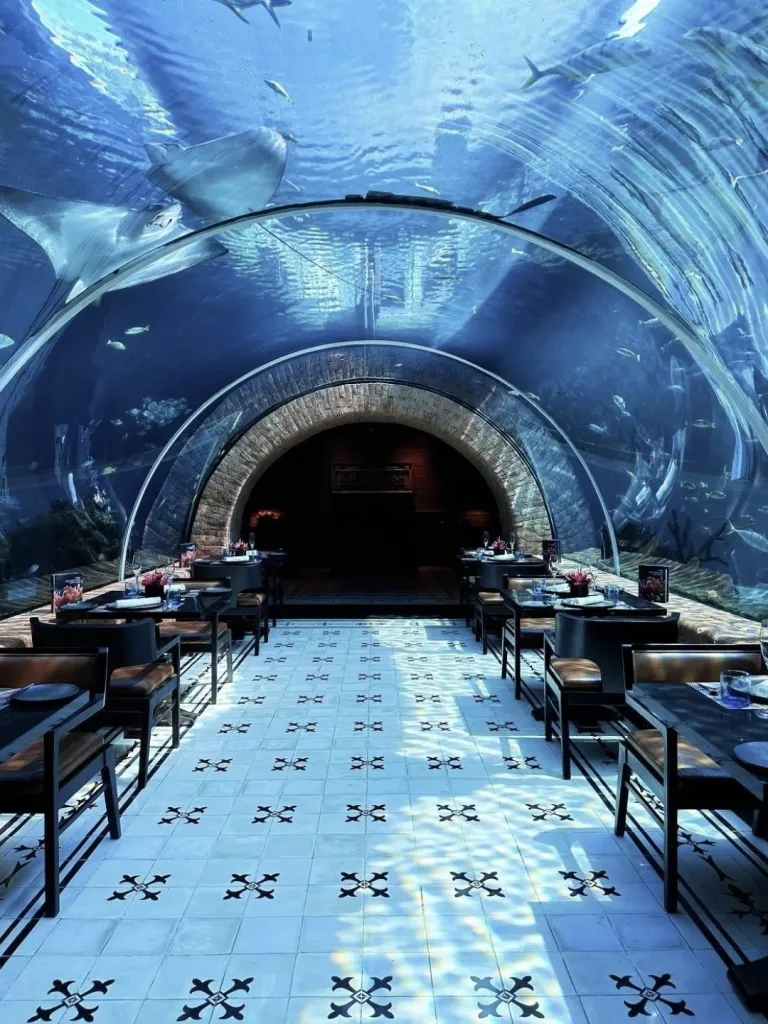 Restoran Koral Koral: Restoran Akuarium Pertama di Bali 사진 2/5