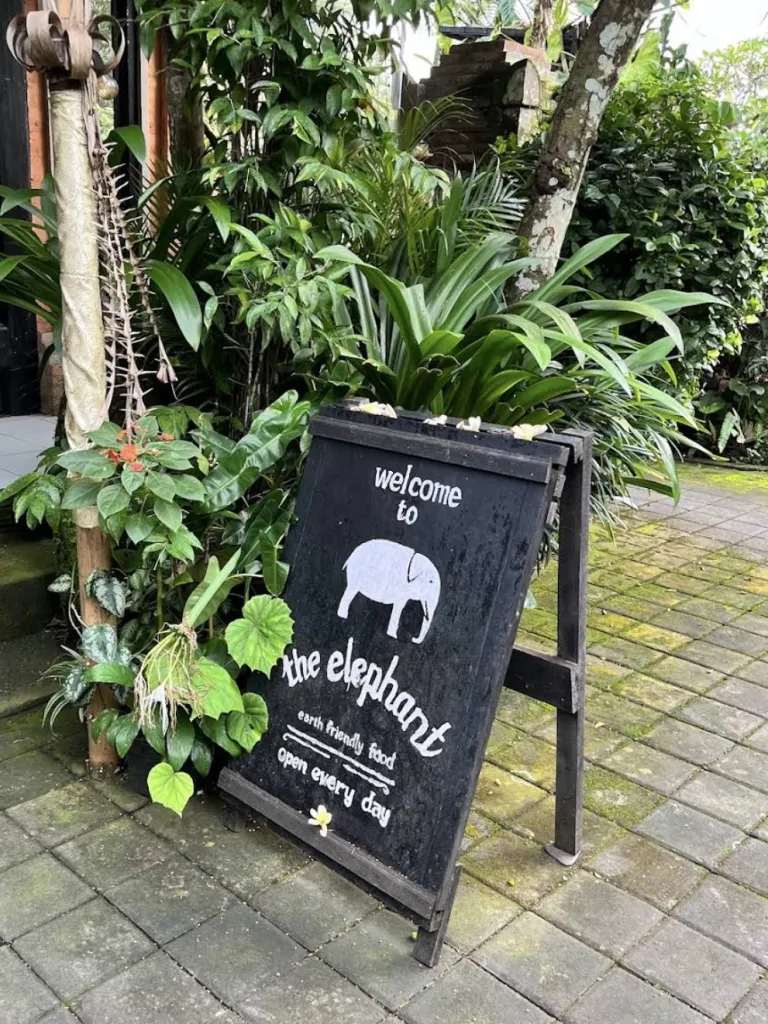 더 엘리펀트 The Elephant 사진 1/5