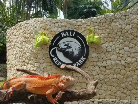 랩타일 파크 Bali Reptile Park