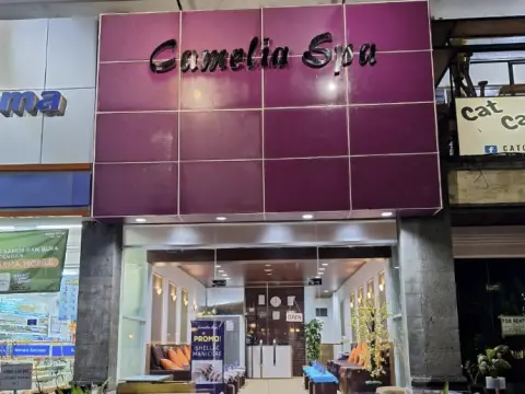 Camelia Spa (사누르 안다즈 근처)
