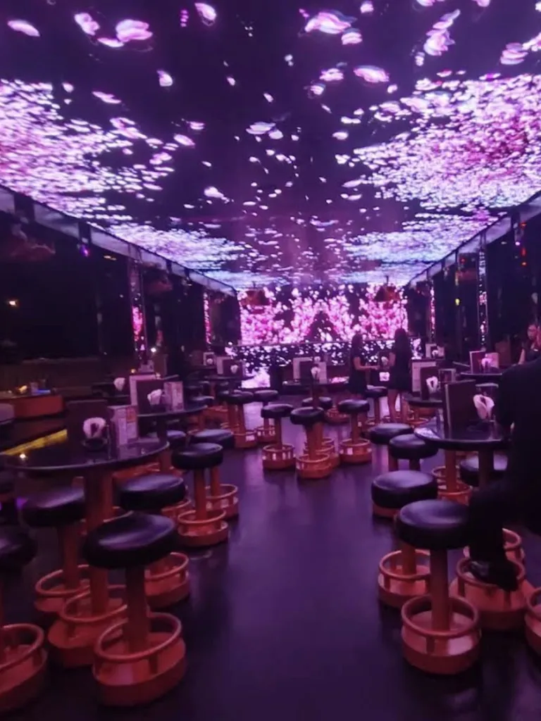 시시 이자카야 라운지 나이트클럽 ShiShi izakaya lounge nightclub 사진 2/5
