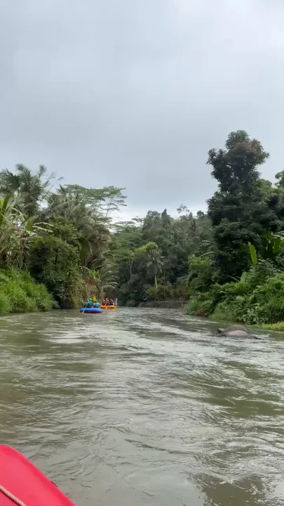 Ayung River Rafting Bali Good activity